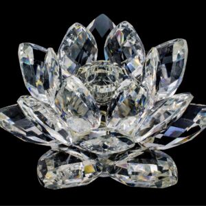 Lotus de Lumière