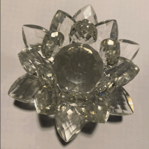 Lotus de Lumière