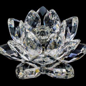 Lotus de Lumière