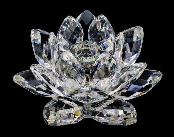 Lotus de Lumière