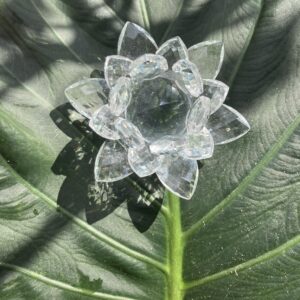 LES LOTUS EN CRISTAL