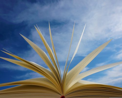 Livres bleu